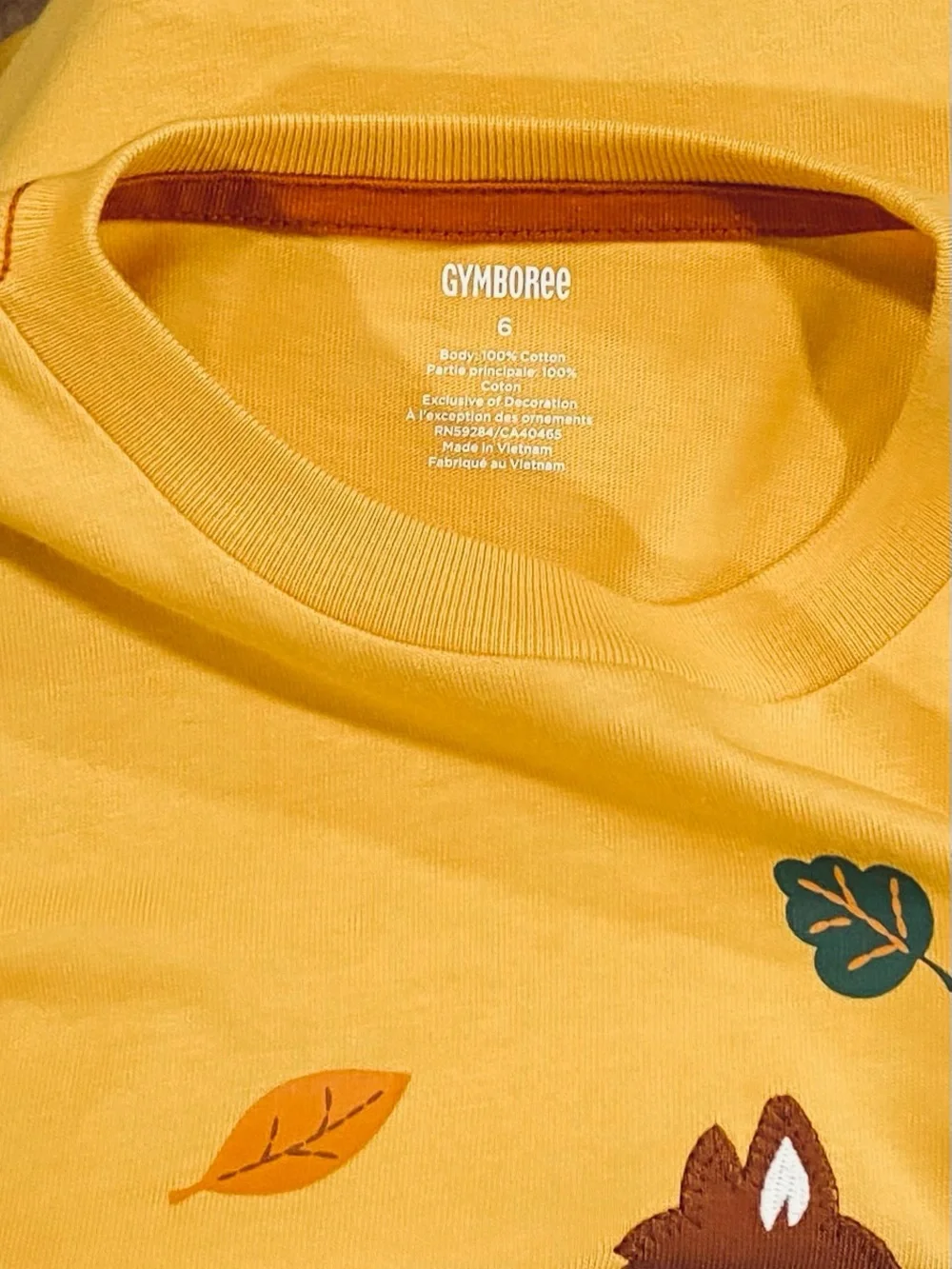 Gymboree Boys ‘Happy Harvest’ Gold and White Top with Striped Socks Size 6